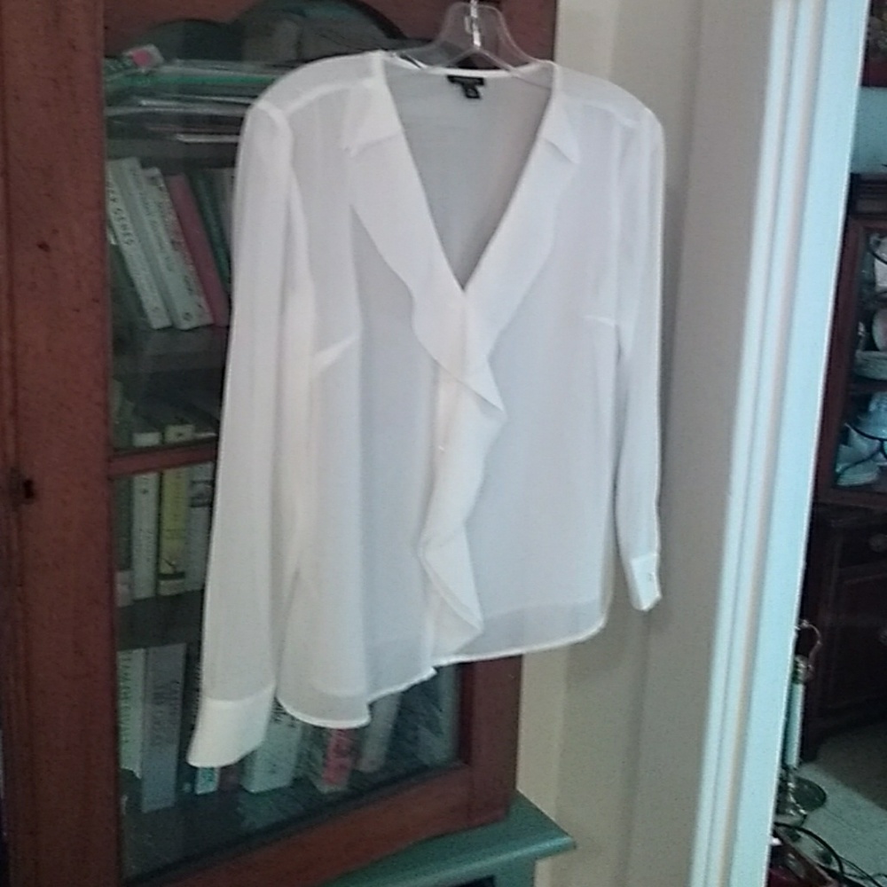 Elegant sheer Ann Taylor blouse